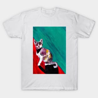 a Blind Cat T-Shirt